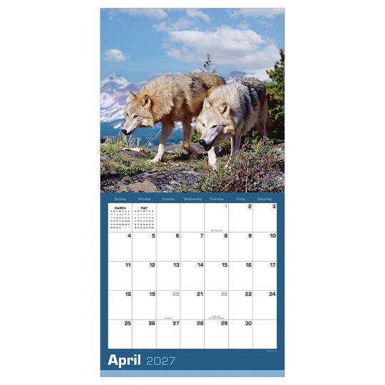 2027 Wolves Wall Calendar
